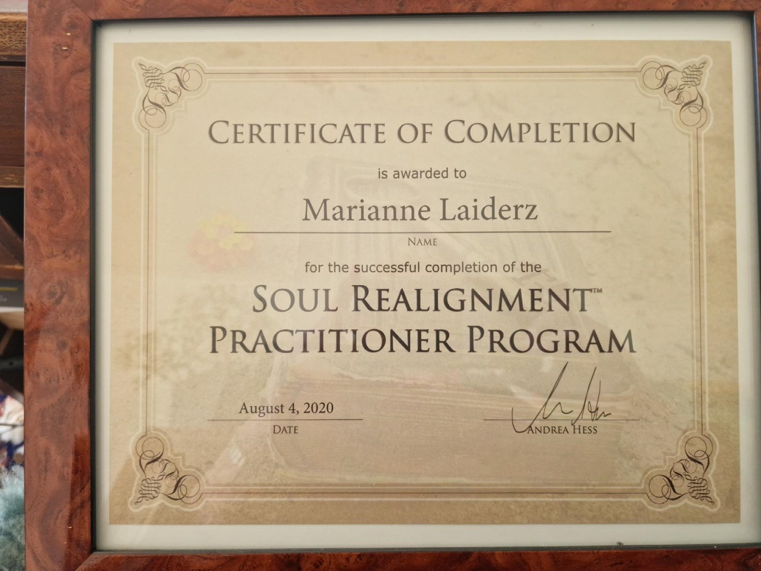 soul realignment 2020