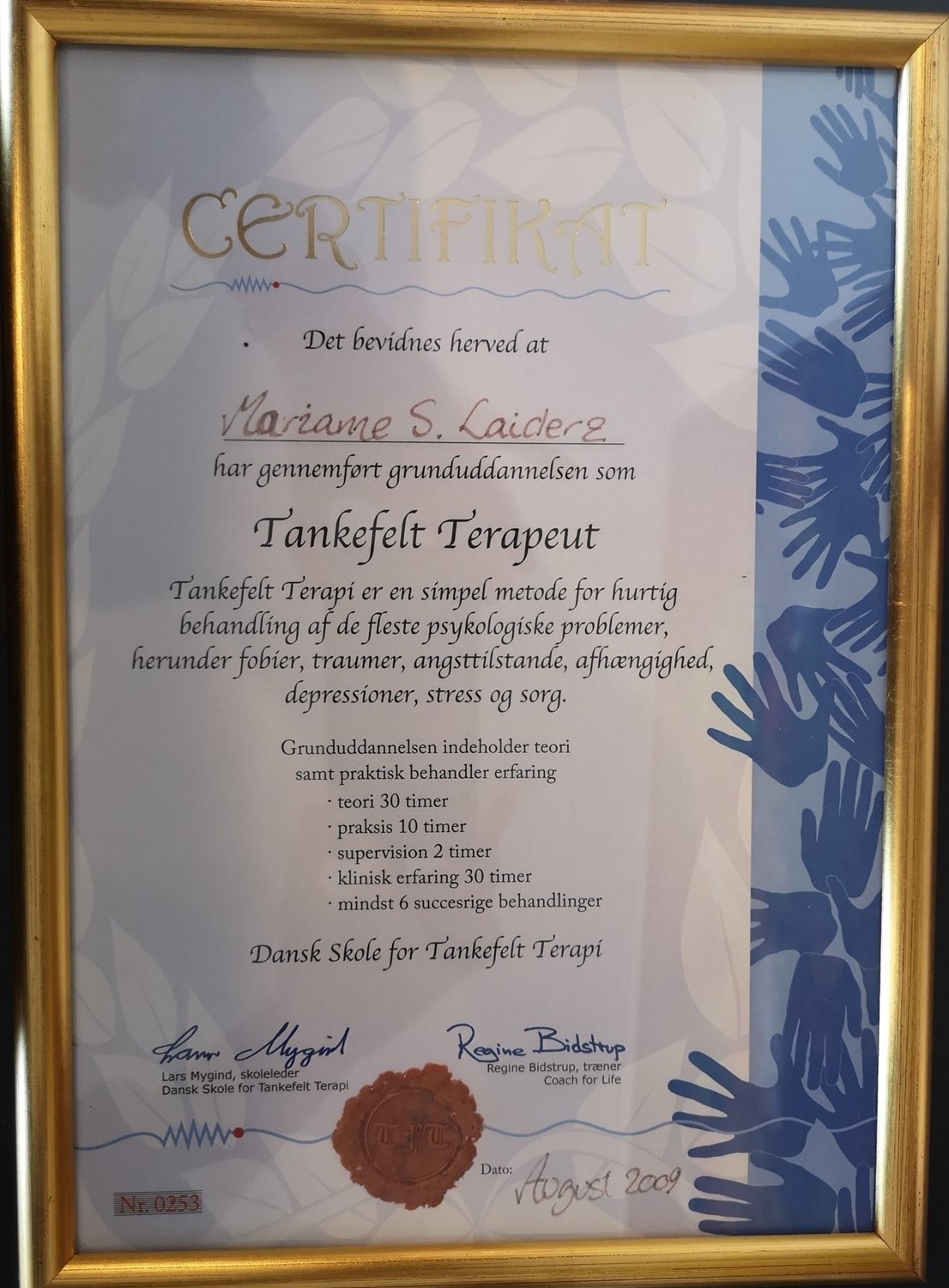 tankefelt terapeut 2009